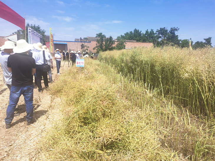 1654567403463720.jpg 4_副本.jpg