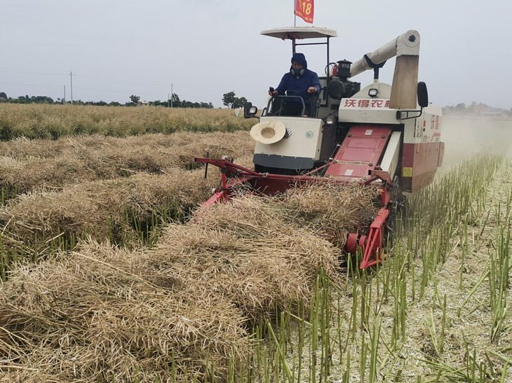 1654845605343569.jpg 2_副本.jpg