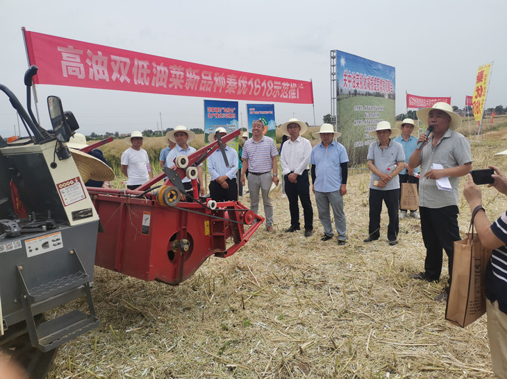 1654845644945602.jpg 3_副本.jpg