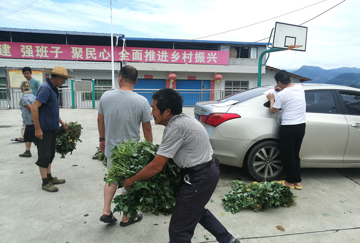 1656897919407505.jpg 1_副本.jpg