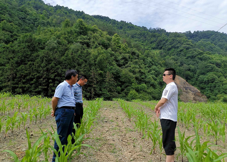 1656897959524523.jpg 4_副本.jpg