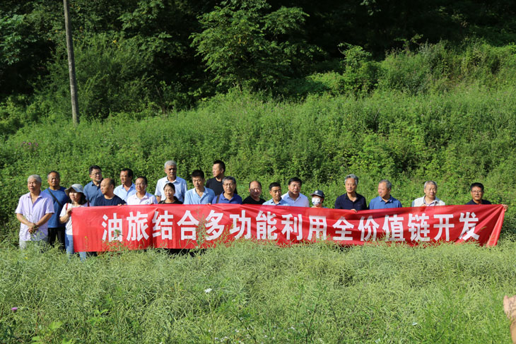 1660640225405374.jpg 2-2.jpg