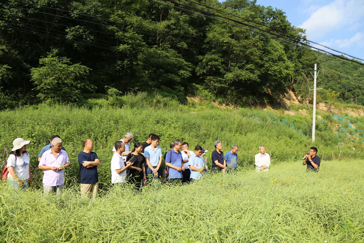 1660640241488055.jpg 33-3.jpg