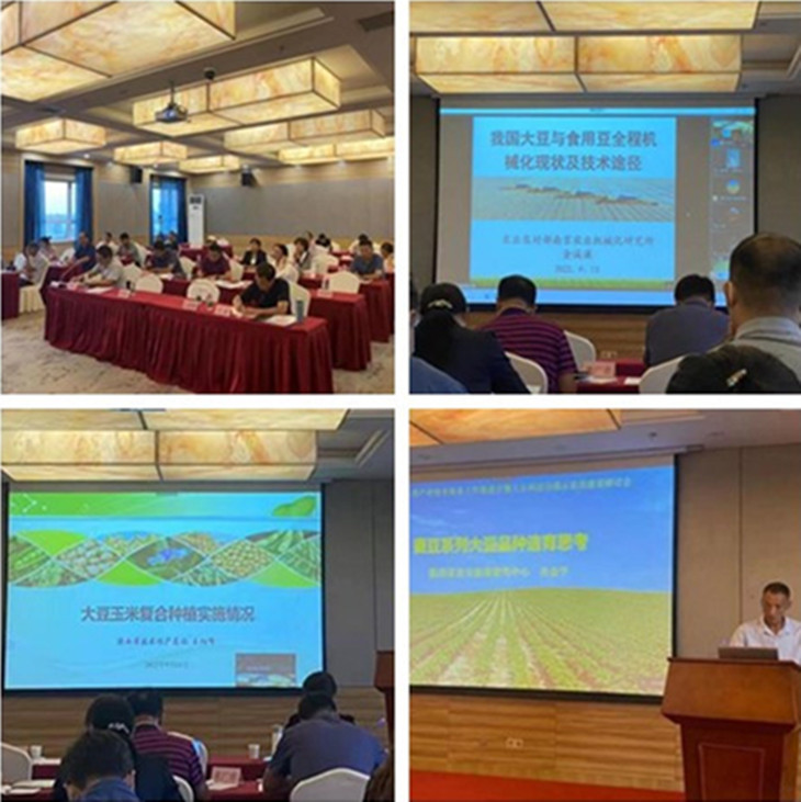 1663288113593024.jpg 2_副本.jpg