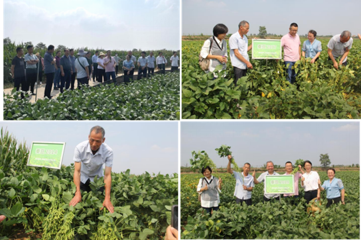 1663288134961236.png 3_副本.png