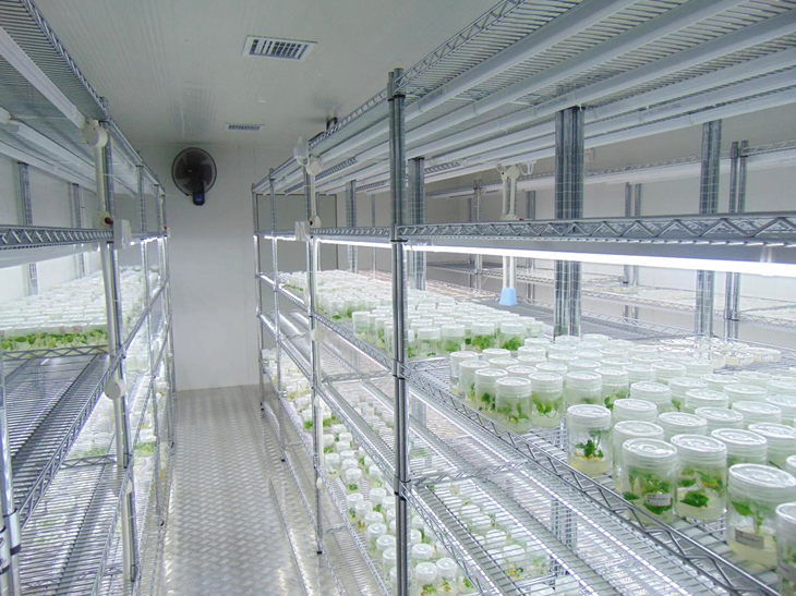 1663576224175039.png 图片2_副本.png