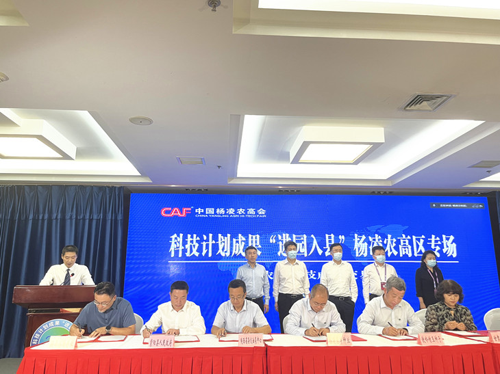 1663577403568562.jpg 4_副本.jpg