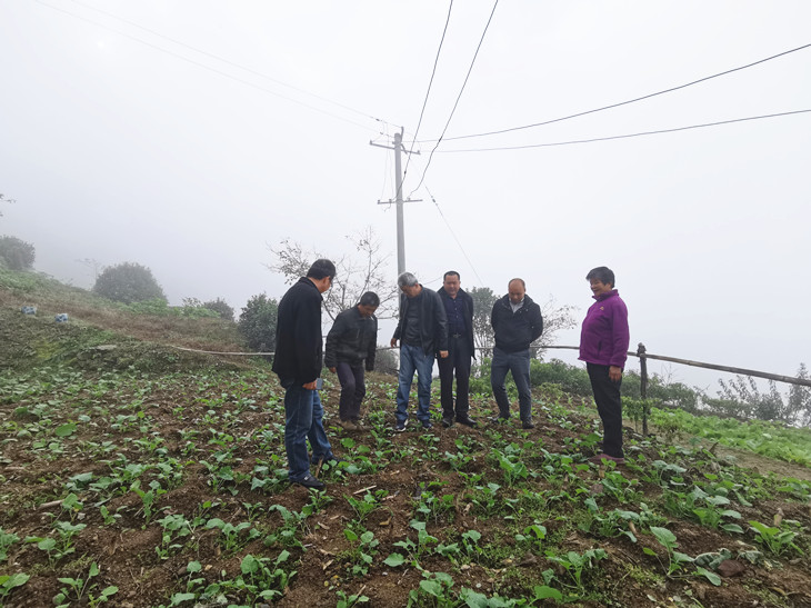 1667787313733313.jpg 4(2)_副本.jpg