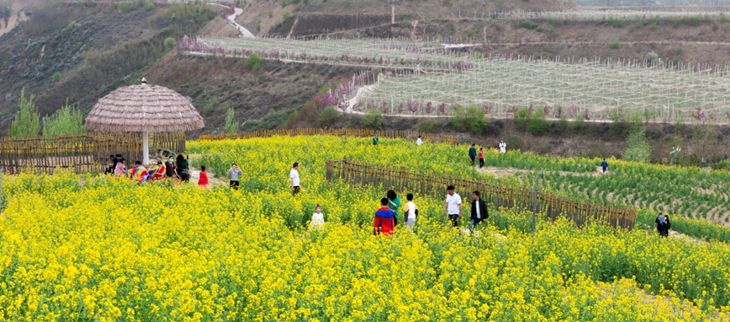 1667788539451563.png 图片2_副本.png