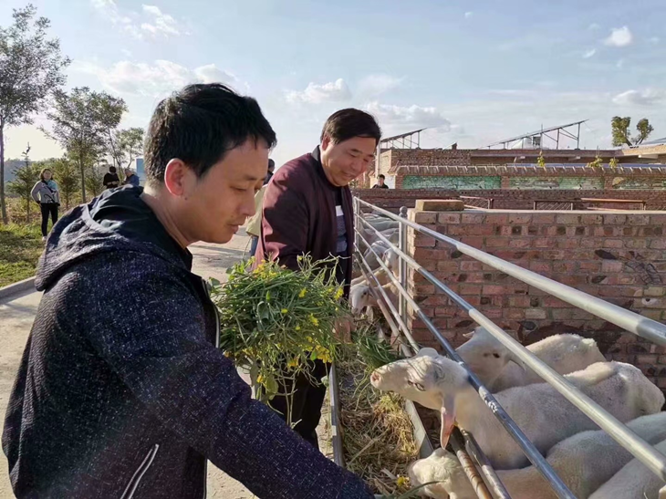 1667788581716643.png 图片4_副本.png