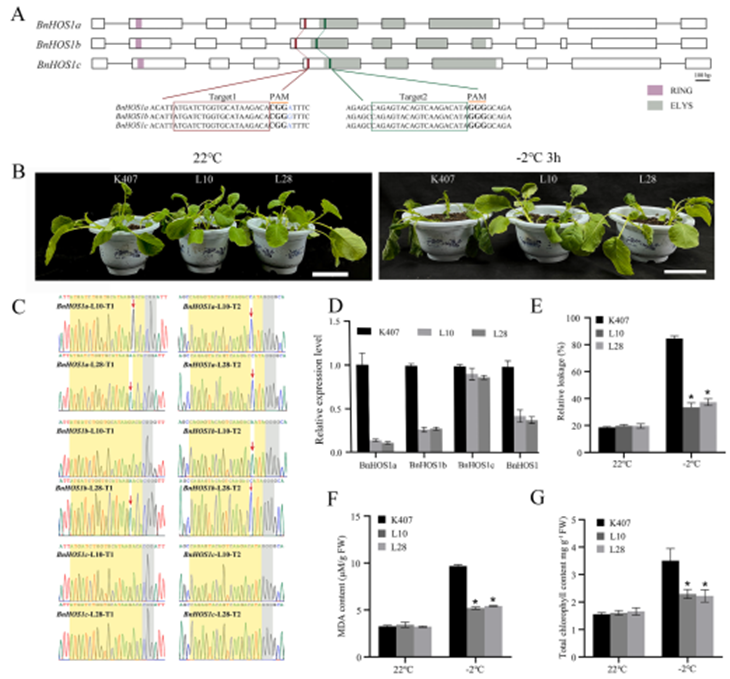 1671177674605214.png 图片2_副本.png