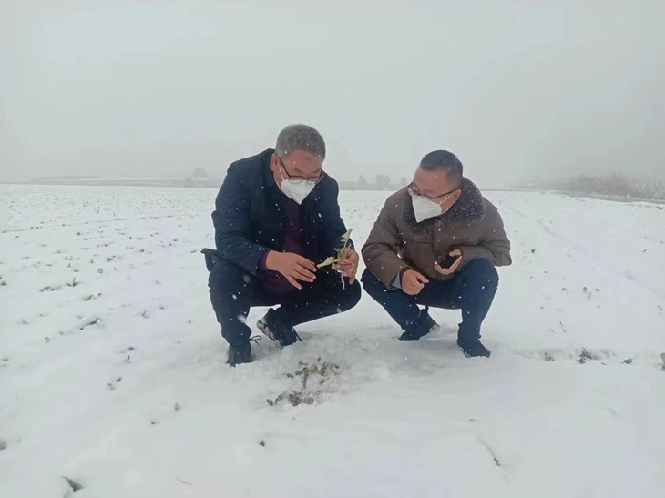 1672971196241652.jpg 1_副本.jpg