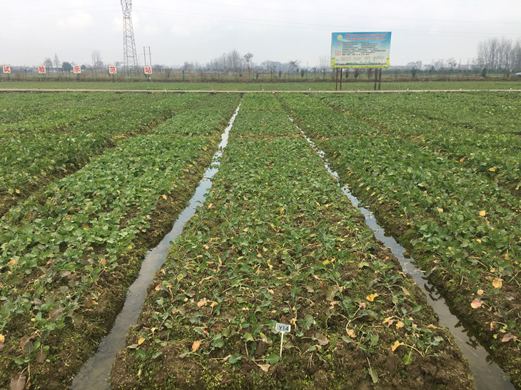 1672971209708177.jpg 2_副本.jpg