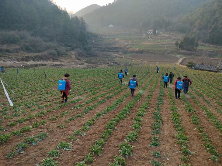 1676254020442975.jpg 图片2_副本.jpg