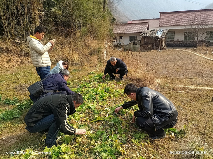 1676254033713095.jpg 图片3_副本.jpg