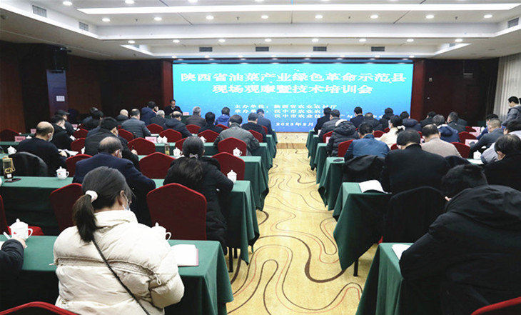 1676345547728491.jpg 1_副本.jpg