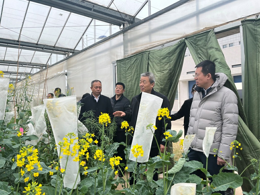 1677229077627273.jpg 2.jpg