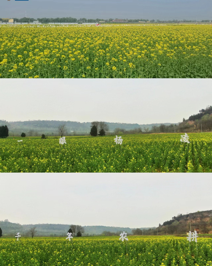 1681115893673873.jpg 展示_副本.jpg