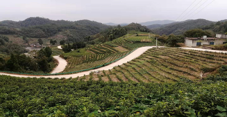 1684318136343867.jpg 3(4)_副本.jpg