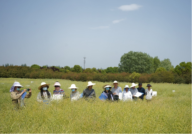 1684462074195714.png 图片1_副本.png