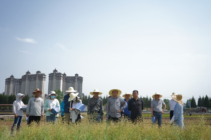 1684462089114762.png 图片2_副本.png