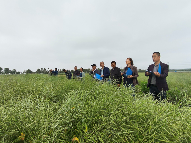 1684489913936987.png 图片4_副本.png