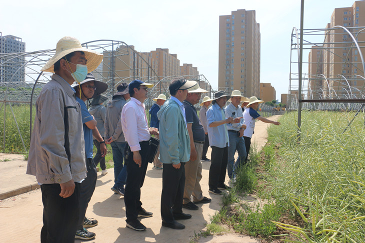 1684823442983027.jpg 1_副本.jpg