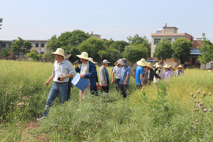 1684823511730595.jpg 2_副本.jpg