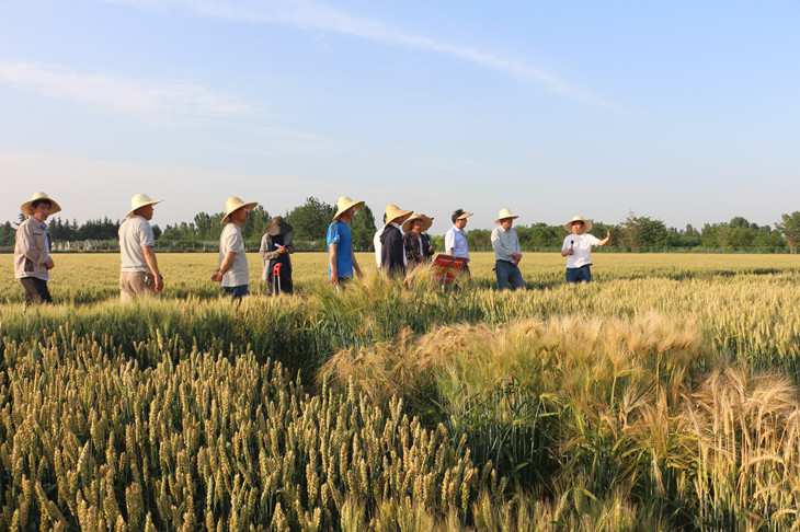 1684823585725394.jpg 3_副本.jpg