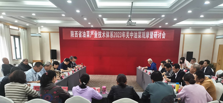 1685002146570249.jpg 2_副本_副本.jpg