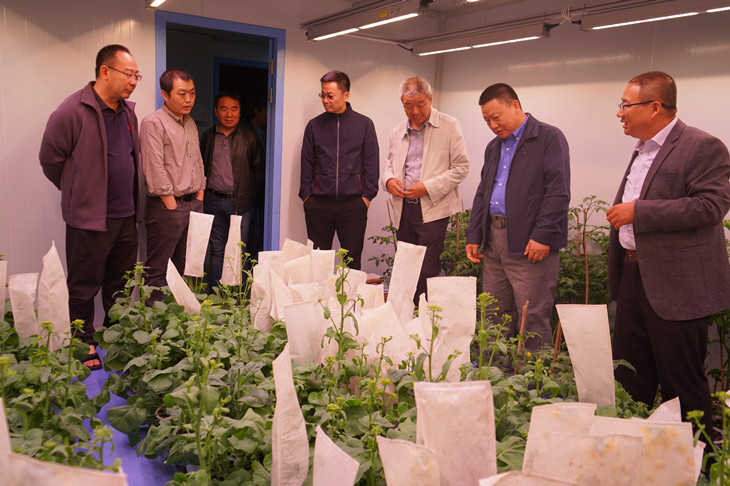 1685428916980728.jpg 2_副本.jpg