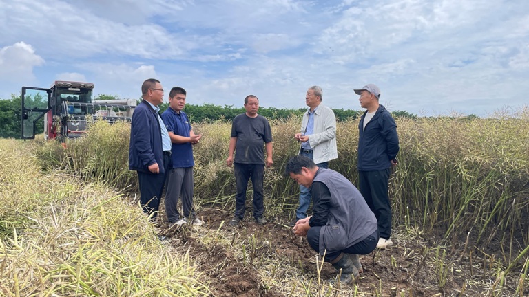 1685952489569841.jpg 1(730).jpg