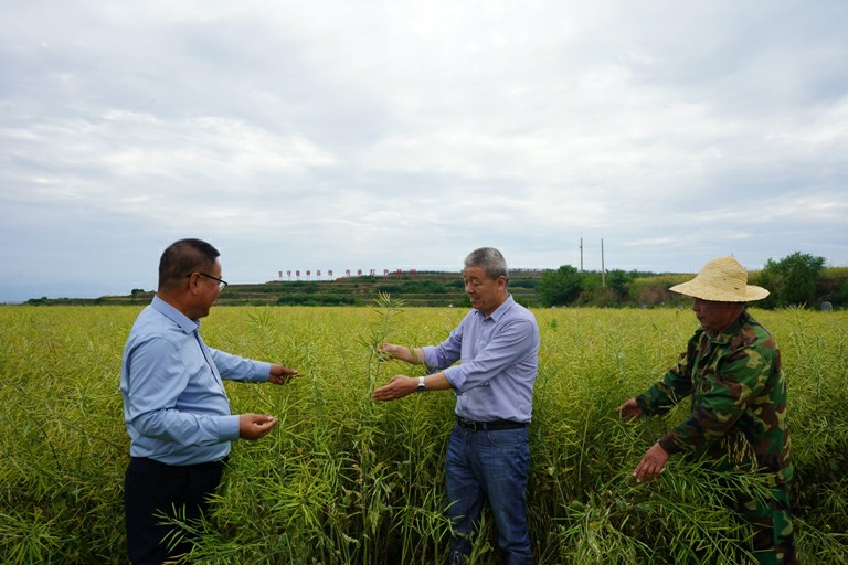 1685952524354149.jpg 3.JPG