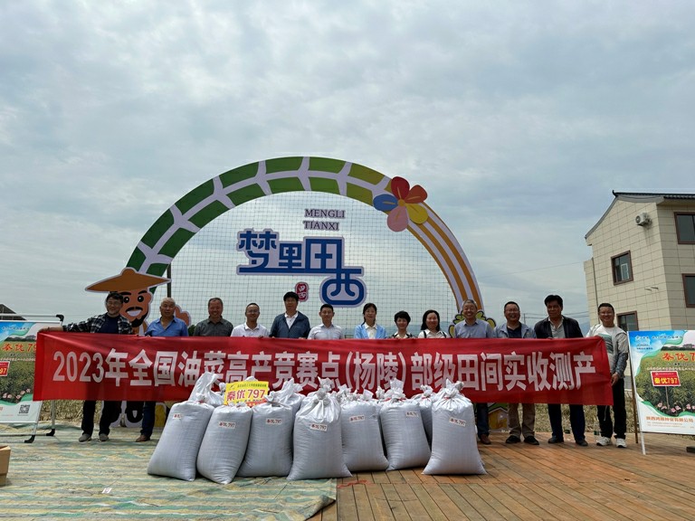 1686297862781017.jpg 3(650).jpg