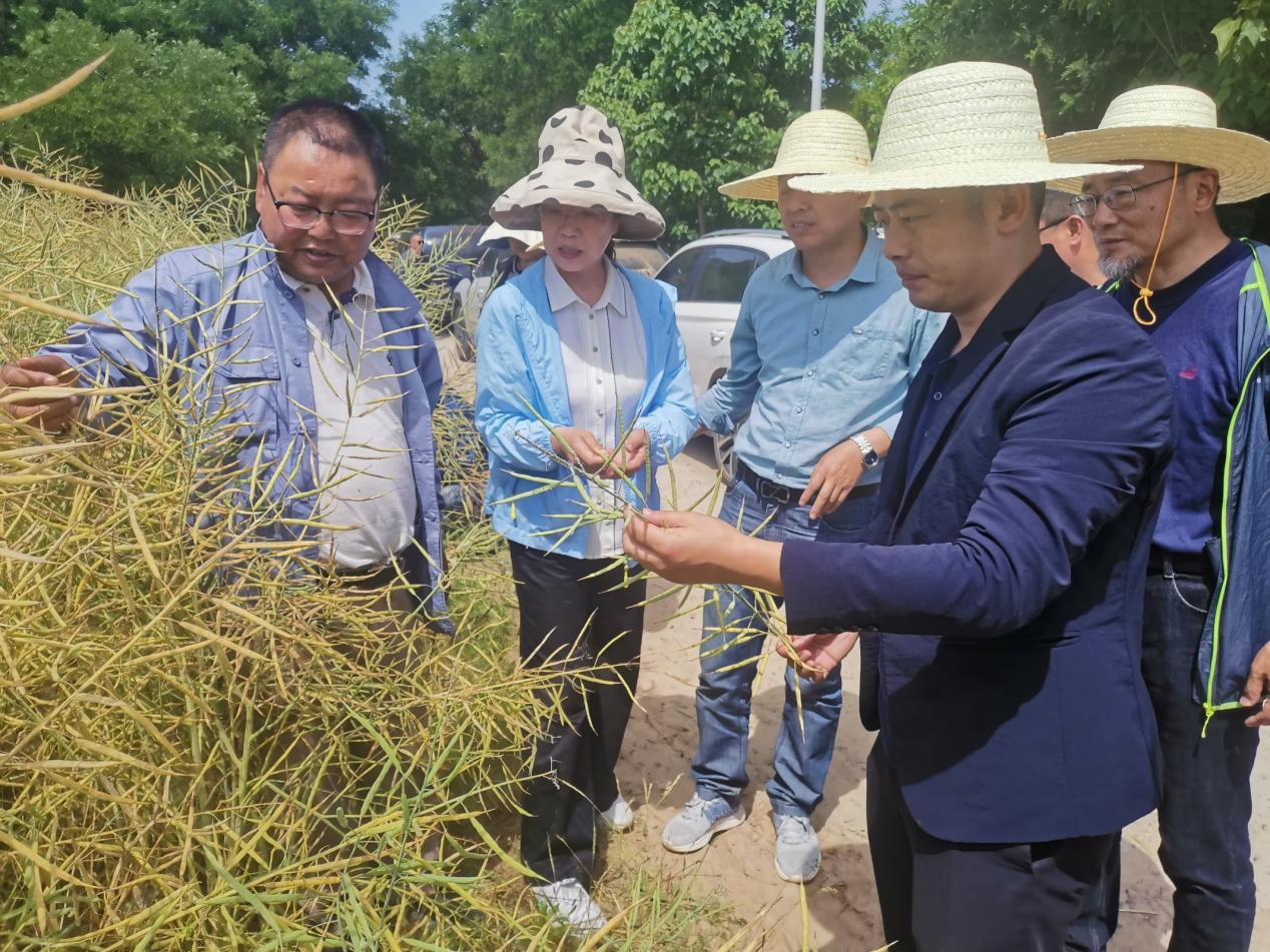 1686906458400912.png 图片1.png