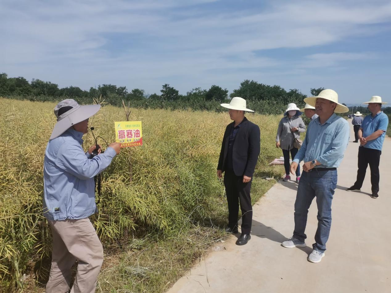 1686906475746040.png 图片2.png