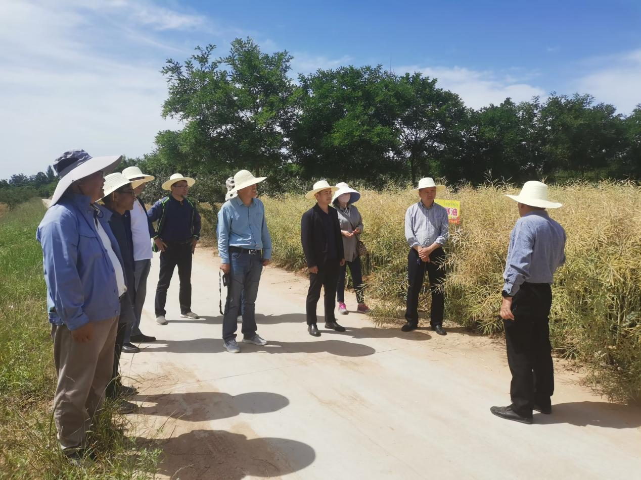 1686906498792007.png 图片3.png