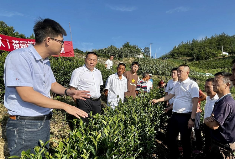 1690451185492562.png 图片2_副本.png