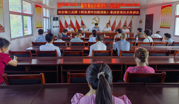 1690451209922356.png 图片3_副本.png