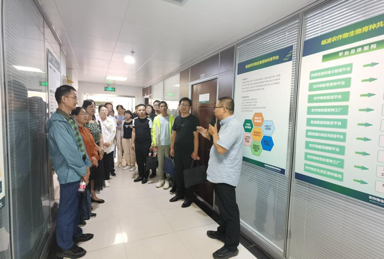 1694393630323009.png 图片1_副本.png