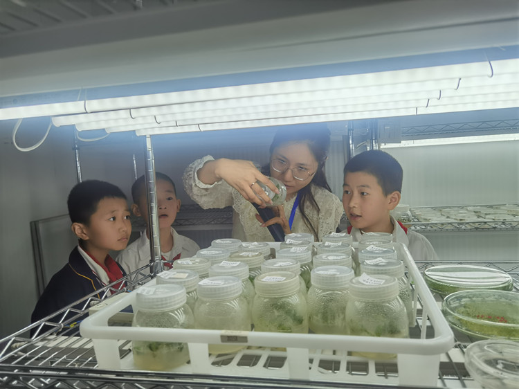 1694596686908209.jpg 9_副本.jpg