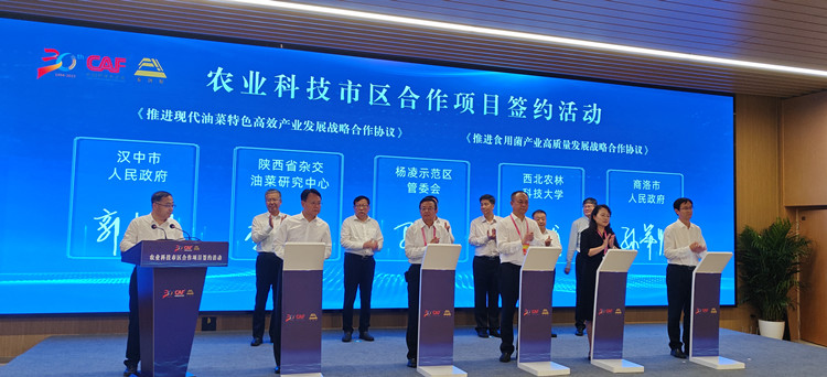 1695284855944694.jpg 3_副本.jpg