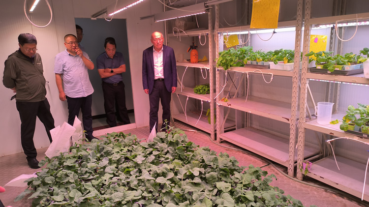 1695287425455697.jpg 2_副本.jpg