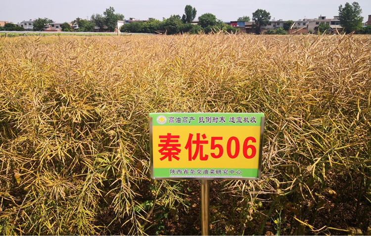 1695346243469993.png 2_副本.png