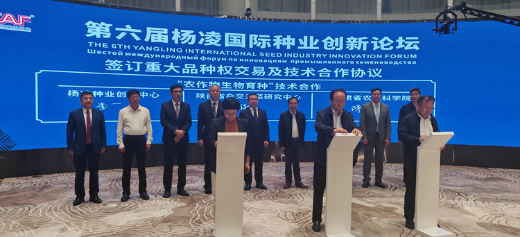 1695371175510148.jpg 1_副本.jpg