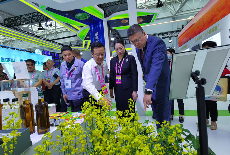 1695692134950385.png 2_副本.png