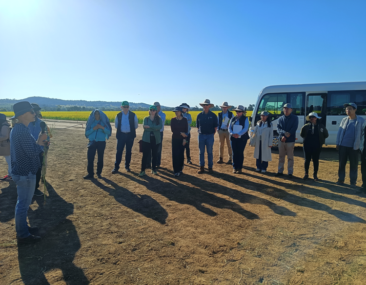 1696728637900266.png 4_副本.png