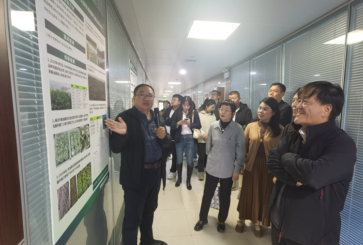 1697078509351778.png 图片2_副本.png