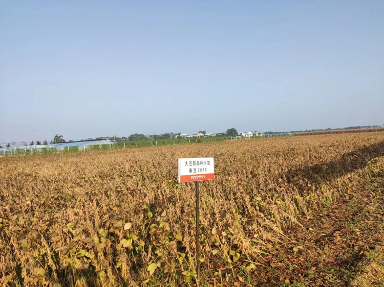 1697419317539778.png 图片3_副本.png