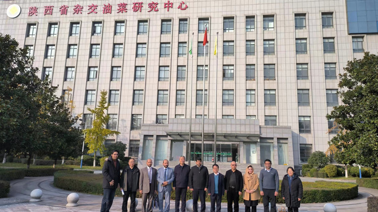 1699943156718047.jpg 1_副本.jpg